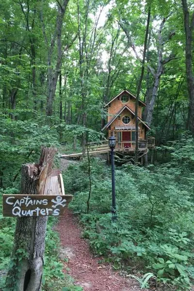 House in a forest