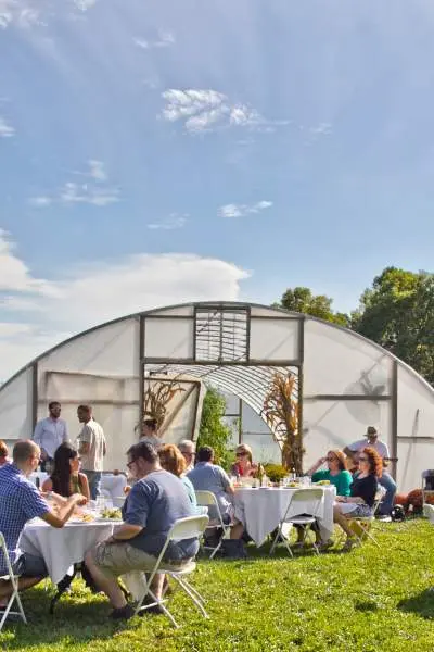 Groups of people sitting around tables outside in the sun enjoy food and drink