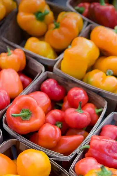 Baskets of capsicum 