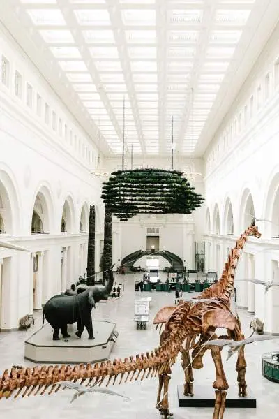 A large room with fossils and animal statues