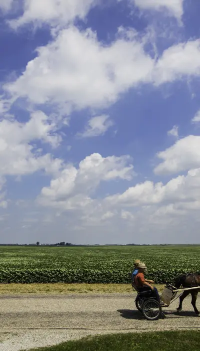 Men riding a horse carriage by a field.